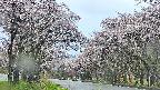 takano2-20250505062030.jpg