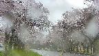 takano2-20250505064029.jpg