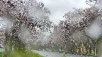 takano2-20250505065029.jpg