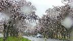 takano2-20250505071030.jpg