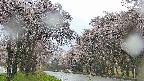 takano2-20250505072030.jpg