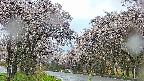 takano2-20250505073030.jpg