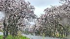 takano2-20250505075029.jpg
