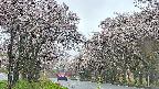 takano2-20250505080030.jpg