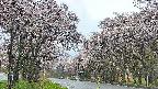 takano2-20250505081030.jpg