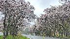 takano2-20250505082030.jpg