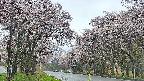 takano2-20250505083030.jpg