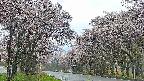 takano2-20250505085028.jpg