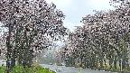takano2-20250505090030.jpg