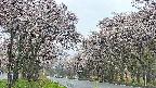 takano2-20250505091031.jpg