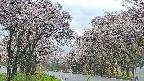 takano2-20250505094030.jpg