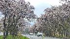 takano2-20250505095029.jpg