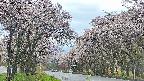 takano2-20250505100030.jpg