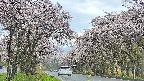 takano2-20250505101028.jpg