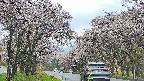 takano2-20250505102029.jpg