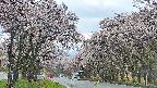 takano2-20250505103030.jpg