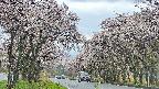 takano2-20250505104030.jpg