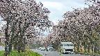 takano2-20250505105029.jpg