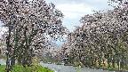 takano2-20250505110031.jpg