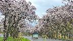 takano2-20250505111031.jpg