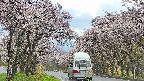 takano2-20250505113031.jpg