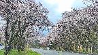 takano2-20250505115030.jpg