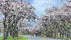 takano2-20250505121031.jpg