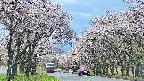 takano2-20250505122031.jpg
