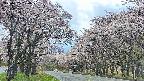 takano2-20250505124030.jpg
