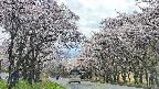 takano2-20250505125031.jpg