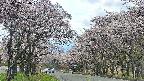 takano2-20250505130029.jpg