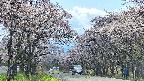 takano2-20250505131031.jpg