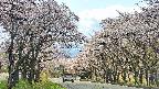 takano2-20250505132030.jpg