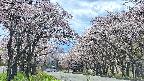 takano2-20250505134031.jpg