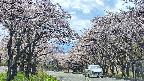 takano2-20250505135030.jpg