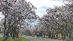 takano2-20250505140030.jpg