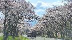 takano2-20250505141031.jpg
