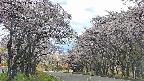takano2-20250505142029.jpg