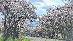 takano2-20250505143029.jpg