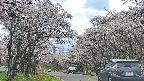 takano2-20250505144030.jpg