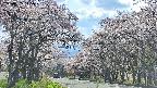 takano2-20250505145031.jpg