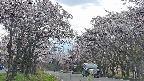 takano2-20250505150030.jpg