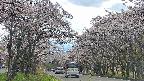 takano2-20250505151029.jpg