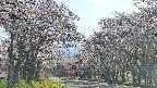 takano2-20250505155030.jpg