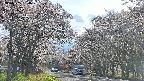 takano2-20250505160030.jpg