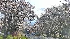 takano2-20250505162030.jpg