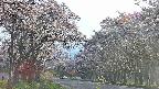 takano2-20250505170030.jpg
