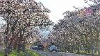 takano2-20250505172031.jpg