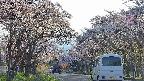 takano2-20250505173030.jpg
