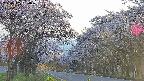 takano2-20250505180030.jpg